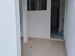 Studios à partir de 90 Acajou Le Lamentin