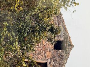 Maison de Vigne terrain