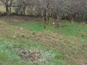 Terrain a bâtir villefranche