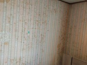 Particulier cherche maison sur Bram et alentours