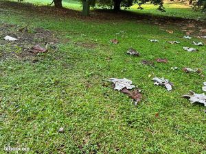 Terrain pour maison sans vis à vis - campagne calme