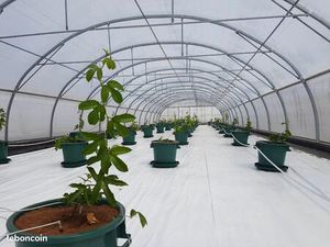 Vend terrain agricole