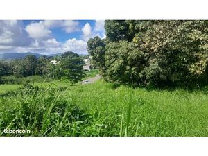 Terrain à Petit Bourg