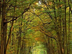 Recherche terrain de loisir