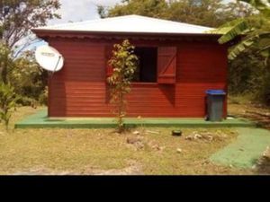 Bungalow bois exotique type sudio