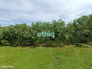 Terrain 2 307 m² Le Gosier