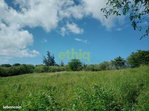 Terrain 1 476 m² Le Moule