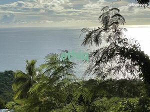 Terrain 20 273 m² Bouillante