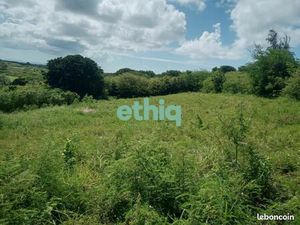 Terrain 1 232 m² Le Moule