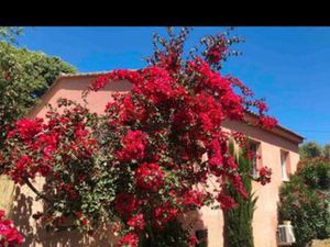 Vila dont 3 studios 125M2