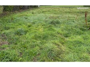 Terrain 1 300 m² Tregastel