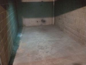 Garage aubagne pin vert