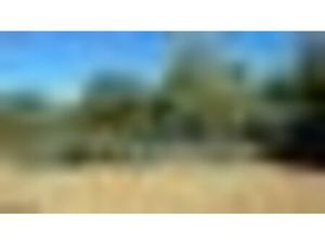 Terrain 3 100 m² Saint Maximin La Sainte Baume