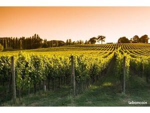 Terrain 1 500 m² Chevanceaux