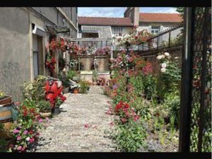 Appartement renove place Wilson