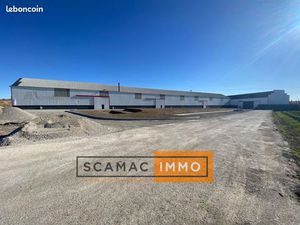 Local d'activité 336 m²