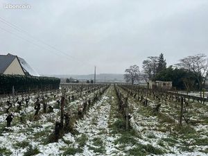 Terrain 2282 m² BOURGUEIL