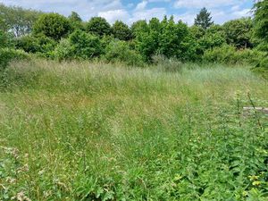 Terrain constructible + Hangar