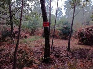 Terrain boisé à vendre sur le bassin d'Arcachon