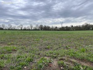 Terrain 385 m² Drain