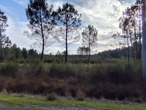 Terrain non constructible