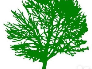 Terrain 12567 m² MACHEMONT