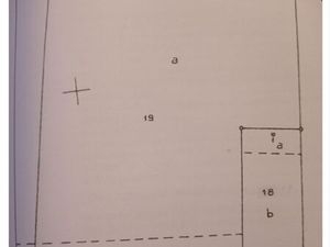 Terrain en nature de taillis