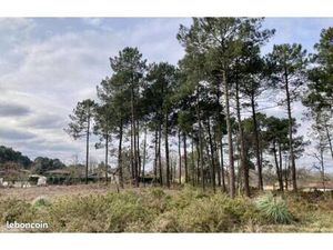 Terrain 600 m² Brach