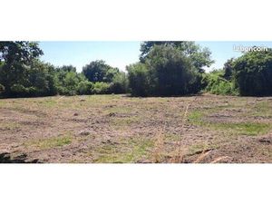 Terrain 1 000 m² Lugos