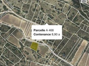 Terrain en nature de landes baixas