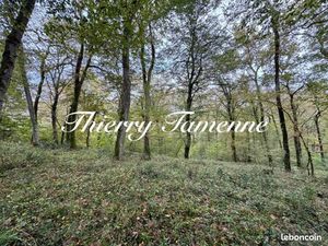 Forêt 82 016 m² Barbaste