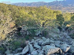 Terrain agricole 5 665 m² Catllar