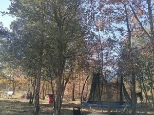 Terrain de loisirs agricole arboré Trouillas