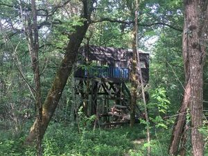 Forêt de 4 hectares à vendre