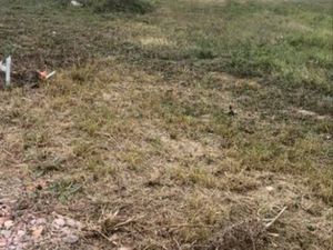 Terrain constructible à vendre-Sainte livrade-sur-lote