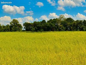 Terrain 535 m² Mios