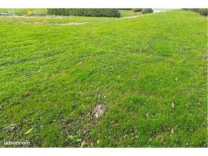 Terrain constructible