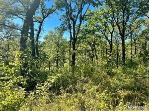 Terrain 2 400 m² Esclauzels