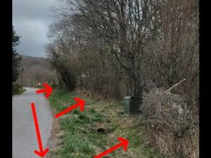 Échange immobilier – Terrain au calme (Auvergne)