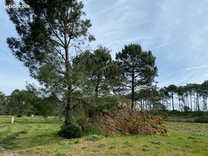 Terrain 745 m² Mios