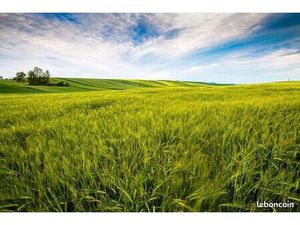 Cherche terrain agricole ou naturel
