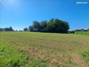 Terrain 2 400 m² Sarlande