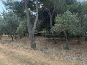 Local commercial 4 697 m²