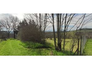 Terrain constructible