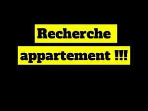 Appartement location