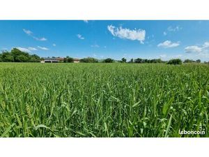 Recherche Terres agricoles