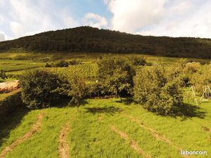 Terrain 521 m² Chatenois