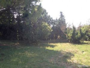 Terrain 1993 m² Châteaurenard