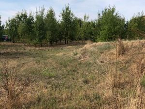 Terrain plat constructible de 1 634 m² – Proche Vézénobres