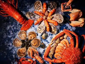 Fond de commerce Poissonnerie Dpt 53